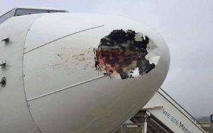 Boeing 737-800 après collision avec un oiseau