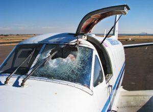avion privé après collision avec un oiseau