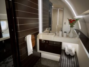 Embraer Lineage 1000E a une salle de bains avec douche à l'italienne