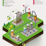 Projet biofuel Total, à prtir de la cellulose - image Total